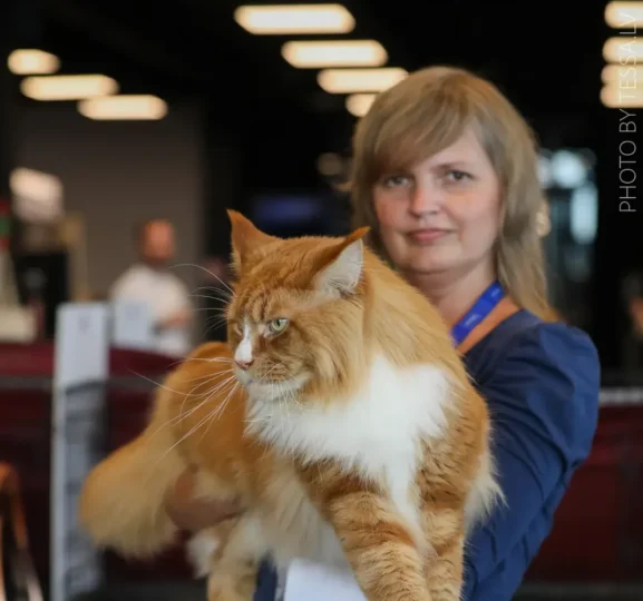 Rahel Linnamägi Maine Coon kassiga
