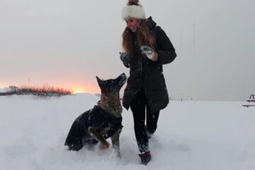 INTERVJUU | Koertetreener Marii Sisask: kutsikakool, eratreeningud ja koertehoid