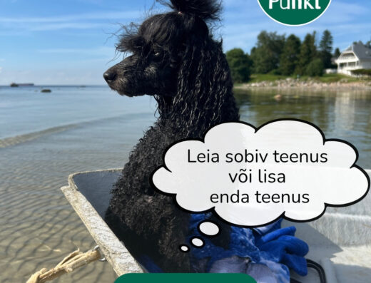 Näidis Koerahoid Tallinnas